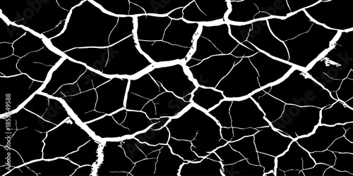 Abstract white cracked vein pattern on deep black background, organic branching texture resembling dried earth or lightning, high contrast, minimal, clean studio lighting, seamless, Adobe Stock qualit