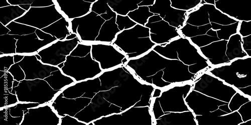 Abstract white cracked vein pattern on deep black background, organic branching texture resembling dried earth or lightning, high contrast, minimal, clean studio lighting, seamless, Adobe Stock qualit
