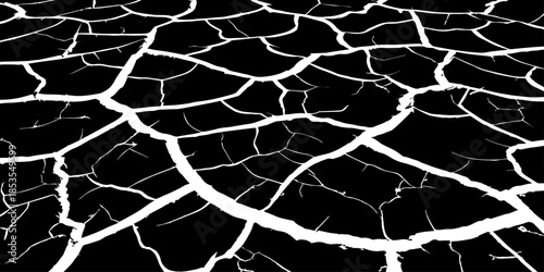 Abstract white cracked vein pattern on deep black background, organic branching texture resembling dried earth or lightning, high contrast, minimal, clean studio lighting, seamless, Adobe Stock qualit