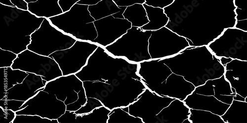Abstract white cracked vein pattern on deep black background, organic branching texture resembling dried earth or lightning, high contrast, minimal, clean studio lighting, seamless, Adobe Stock qualit