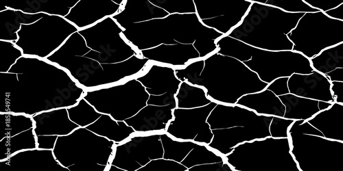 Abstract white cracked vein pattern on deep black background, organic branching texture resembling dried earth or lightning, high contrast, minimal, clean studio lighting, seamless, Adobe Stock qualit