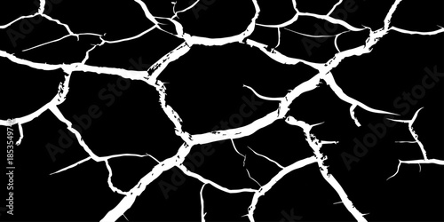 Abstract white cracked vein pattern on deep black background, organic branching texture resembling dried earth or lightning, high contrast, minimal, clean studio lighting, seamless, Adobe Stock qualit