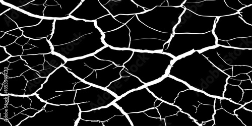 Abstract white cracked vein pattern on deep black background, organic branching texture resembling dried earth or lightning, high contrast, minimal, clean studio lighting, seamless, Adobe Stock qualit