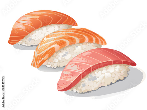realistic luxury flat sushi nigiri set with salmon and tuna, refined rice texture, balanced shadows and highlights, minimal yet realistic color tones, premium Japanese cuisine illustration