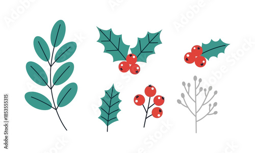 Set of winter and christmas plant elements with leaves and berries