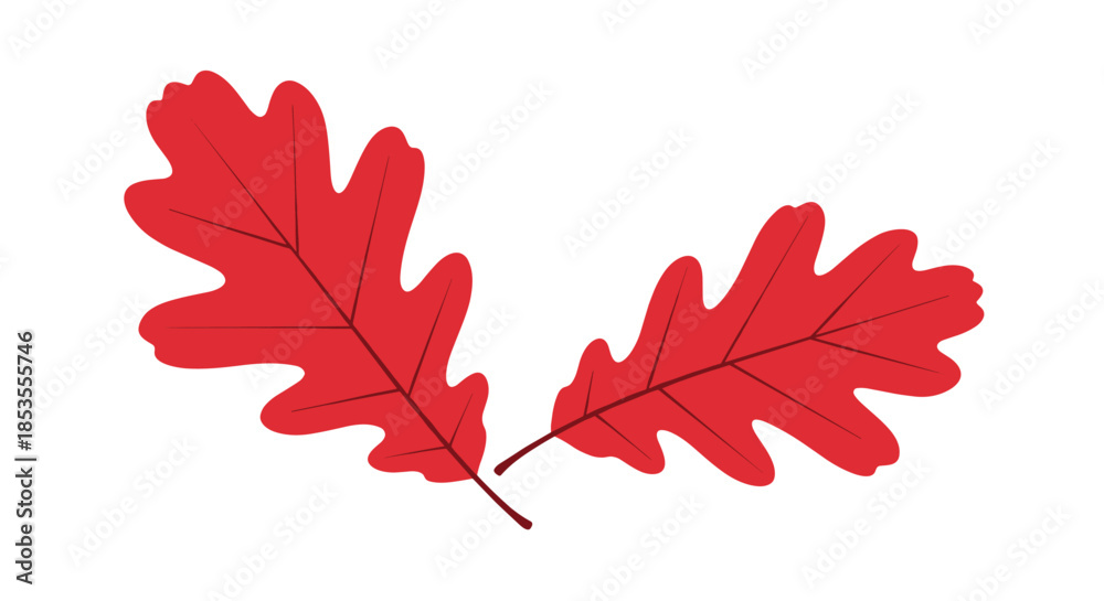 Obraz premium Simple illustration of two vibrant red oak leaves, symbolizing autumn, nature, and the changing seasons, on a white background.