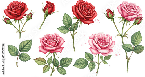 Seamless pattern of pink and red roses with delicate leaves on a clean background