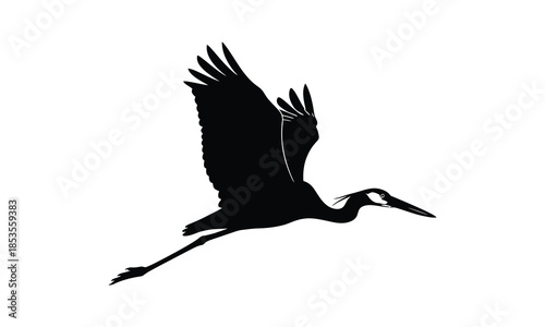 Silhouette of a crane bird in flight on white background