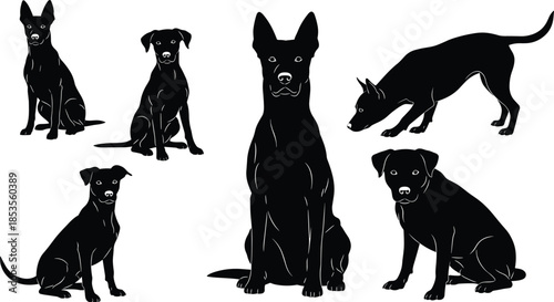 Black Silhouettes of Different Dog Breeds in Various Poses, Sitting and Standing Puppy Figures Isolated on White Background for Pet Design,