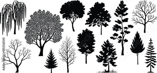 Black silhouette of various trees collection, deciduous and coniferous species with leafy branches and bare winter limbs on white background, vector