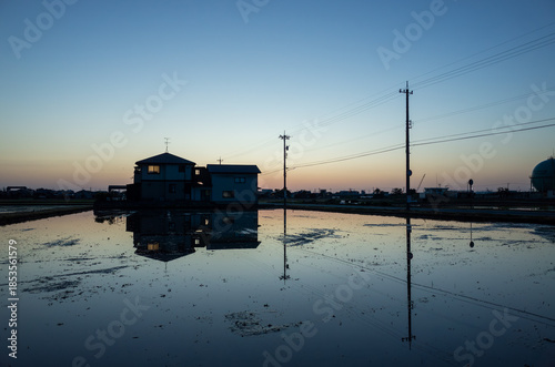 水田に反射する美しい風景