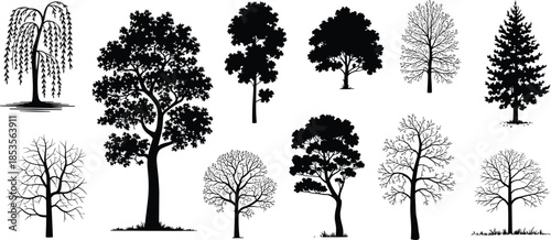 Black silhouette of various trees collection, deciduous and coniferous species with leafy branches and bare winter limbs on white background, vector