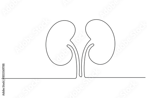 One line drawing of kidneys on a white background symbolizing health and urology