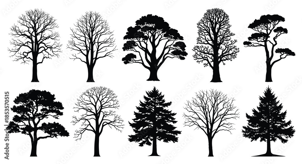 Fototapeta premium Collection of diverse tree silhouettes, showcasing various deciduous and evergreen species in black and white.