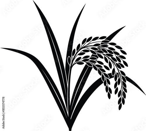 A simple black and white illustration of rice plant with mature grains