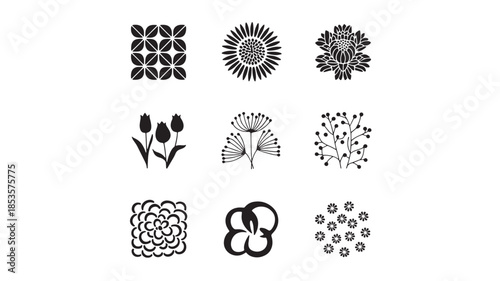 Collection of various black and white botanical illustrations displayed on a plain white background