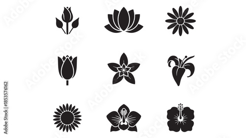 Collection of various black flower silhouettes on a white background