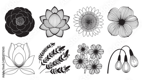 A collection of delicate black and white illustrations of various flowers and plants from different viewpoints