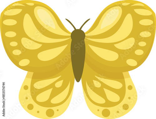 Beautiful yellow butterfly with decorative wings and body isolated on white background