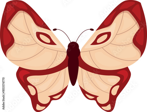 Beautiful butterfly with red and beige wings, antennae and body, isolated on white background