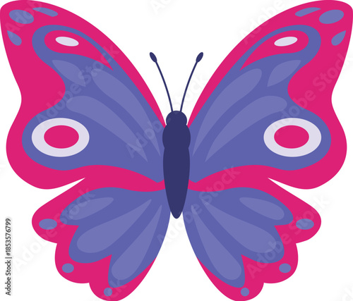 Colorful illustration of a purple butterfly with pink edges showing its wings