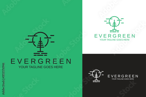 evergreen spruce fir hemlock conifer coniferous pine cedar cypress larch with moonlight simple line