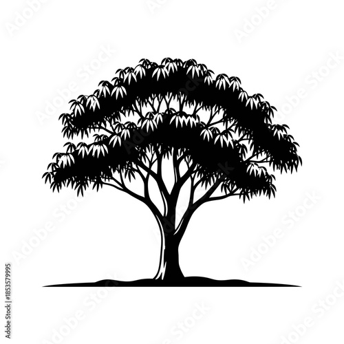 Majestic Large Tree Silhouette with Spreading Canopy for Nature Landscapes and Environmental Art