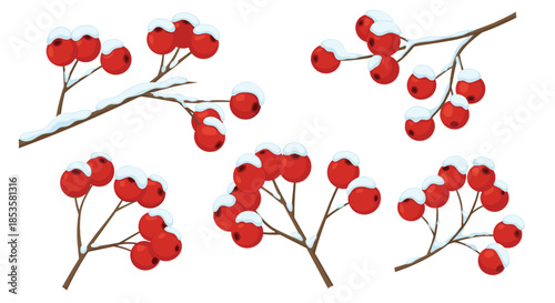 Collection of six winter branches with vibrant red berries, each lightly dusted with white snow, isolated on a clean background.
