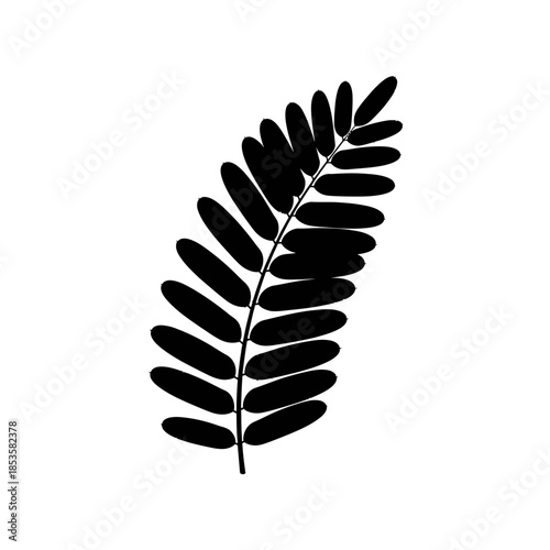 Electronic Maple Leaf Design Pacific Northwest Native Pattern Cabinetry Style Digital Art Graphic