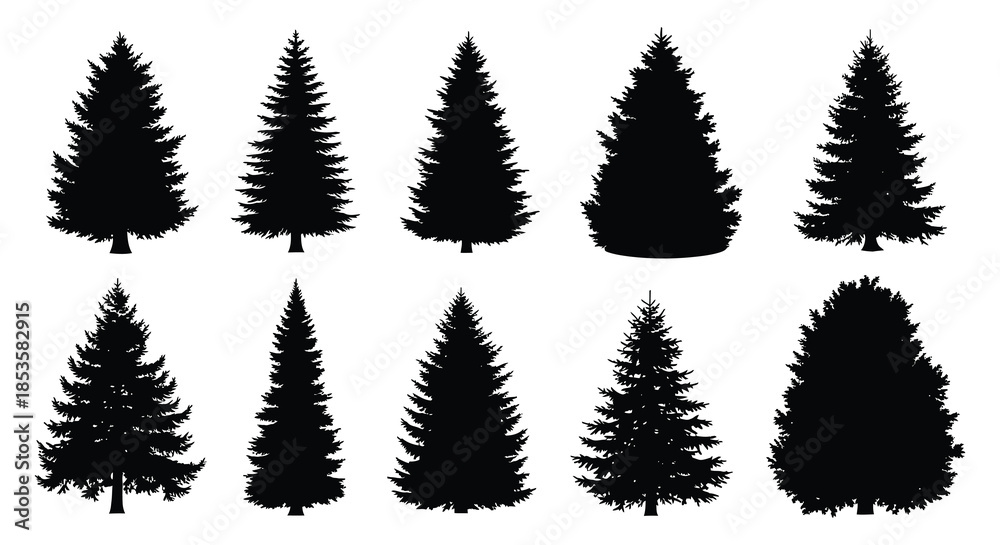 Fototapeta premium A collection of dark evergreen trees and shrubs presented in a striking black silhouette