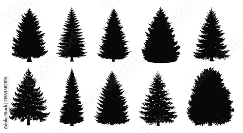 A collection of dark evergreen trees and shrubs presented in a striking black silhouette