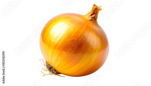 Wallpaper Mural A close-up studio shot of a perfectly formed, golden-brown onion against a black background Torontodigital.ca