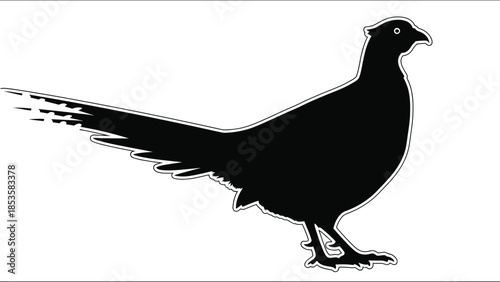 A striking silhouette of a pheasant showcasing its detailed feather structure