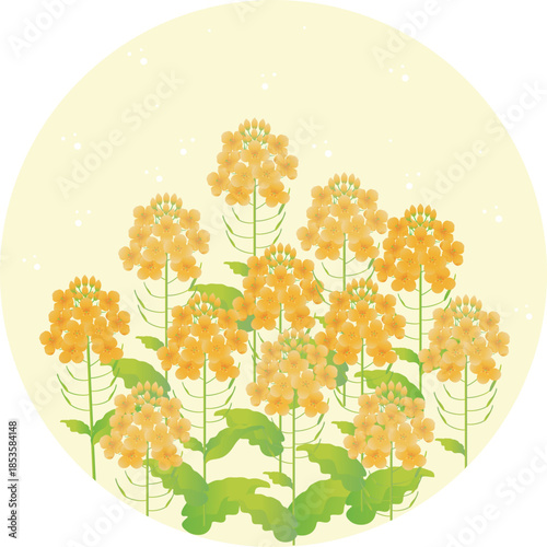 Spring landscape illustration with blooming rapeseed flowers. Yellow floral background frame with copy space.