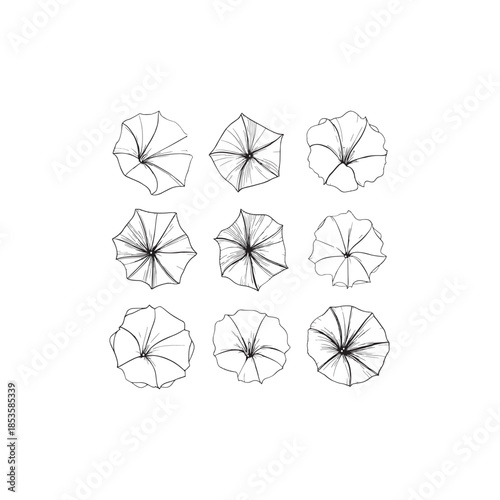 oea icon line art wildflower nature 