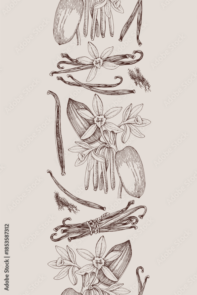 Obraz premium Vanilla hand drawn seamless border