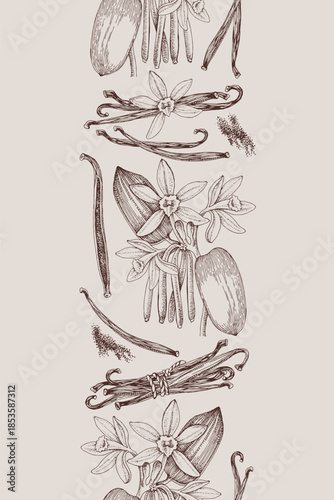 Vanilla hand drawn seamless border