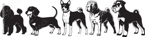 Variety of dog breed silhouettes in a line dogs poodle
