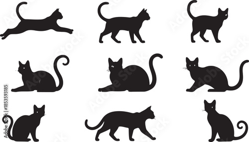 Silhouettes of cats in different poses felines animals