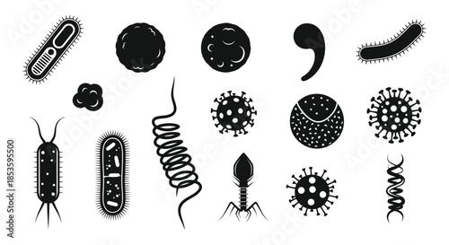 A collection of various black microbial forms and shapes depicted in a striking silhouette