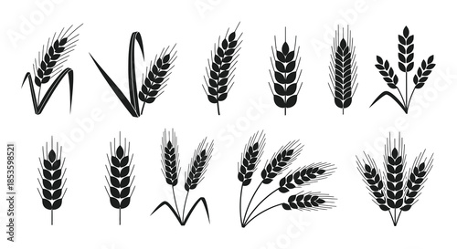A collection of various wheat stalks and grain heads depicted in a dark striking silhouette