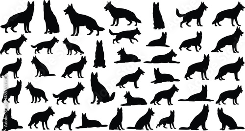 German Shepherd and Belgian Malinois silhouettes collection featuring various poses like sitting standing running walking and lying down for dog lovers