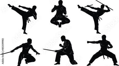 Martial Arts Silhouettes: Dynamic Black Silhouettes of Fighters Performing High Kicks, Jumps, and Weapon Katas in Traditional Karate and Kung Fu Poses.