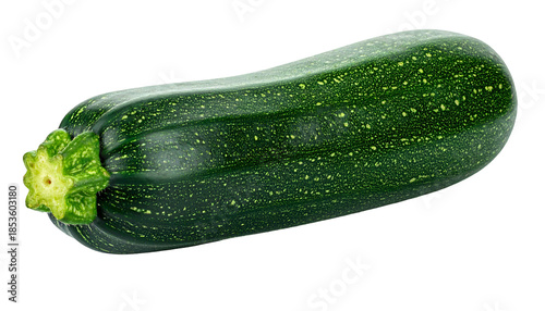 Close-up of a vibrant green oblong vegetable, its textured skin, and bud on black
