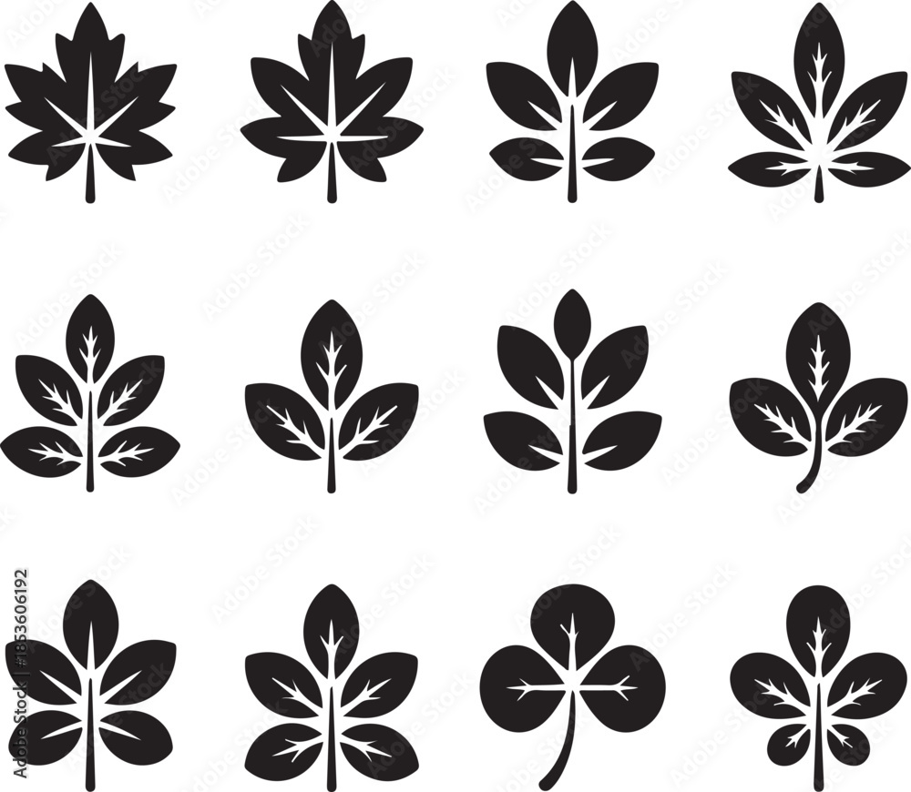 Obraz premium Collection of various leaf shapes and designs in black silhouette