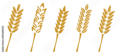grain wheat icon