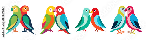 Colorful lovebirds pair standing together brightly colored birds
