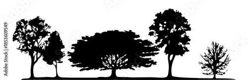 natural forest tree silhouette