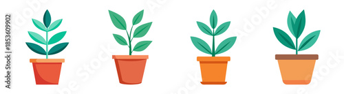 Four potted green plants with brown pots against a white backdrop