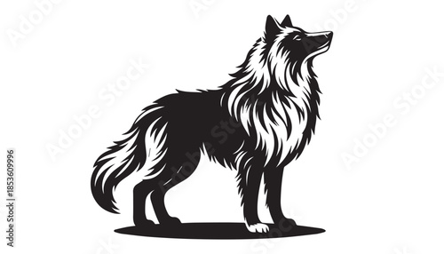 black color wolf silhouette vector illustration, solid white background